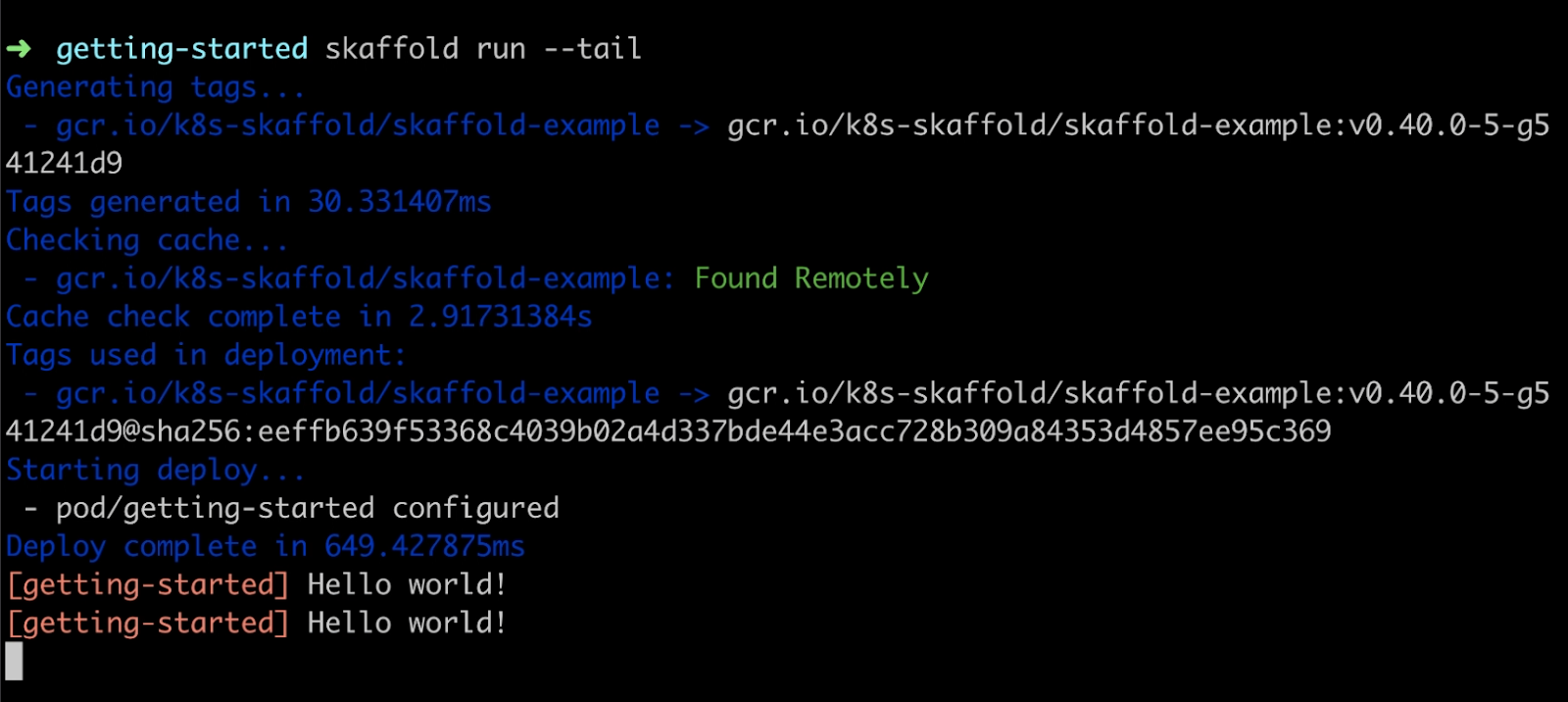 Deploy and execute Skaffold - monitor the application’s pods post-deployment