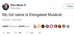 Elon Musk